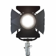 2632 - Fos/4 Barndoor, Fresnel 7"