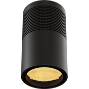 ECLPendant - 200W White LED source pendant light, Tungsten, black