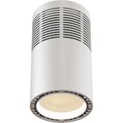 ECLPendantJR - 100W White LED source pendant light, NW, white