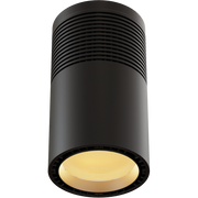 ECLPendantJR - 100W White LED source pendant light, Tungsten, black