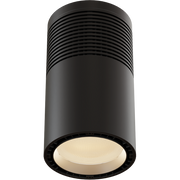 ECLPendantJR - 100W White LED source pendant light, NW, black