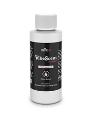 Vibescent Pumpkin (12-Pack)