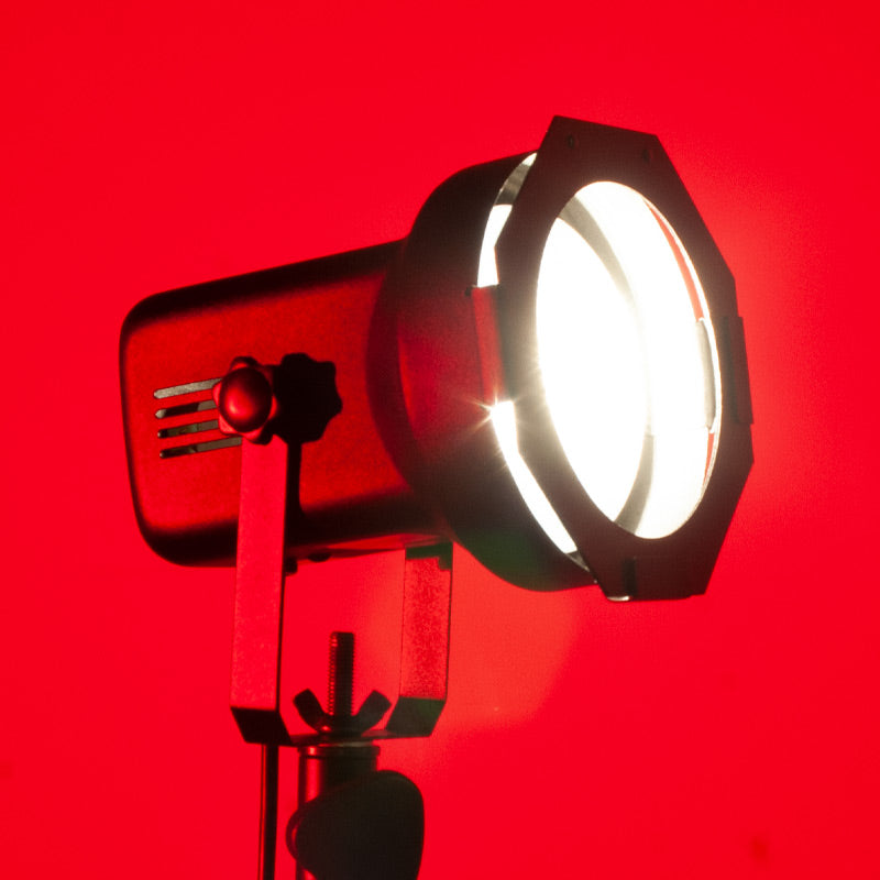 PAR38EL - PAR-38 with lamp