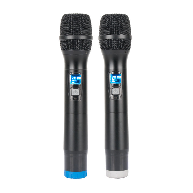 WM219 - 2-channel wireless handheld mic system