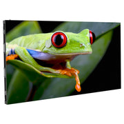 WMS2 - 2.6mm LED panel