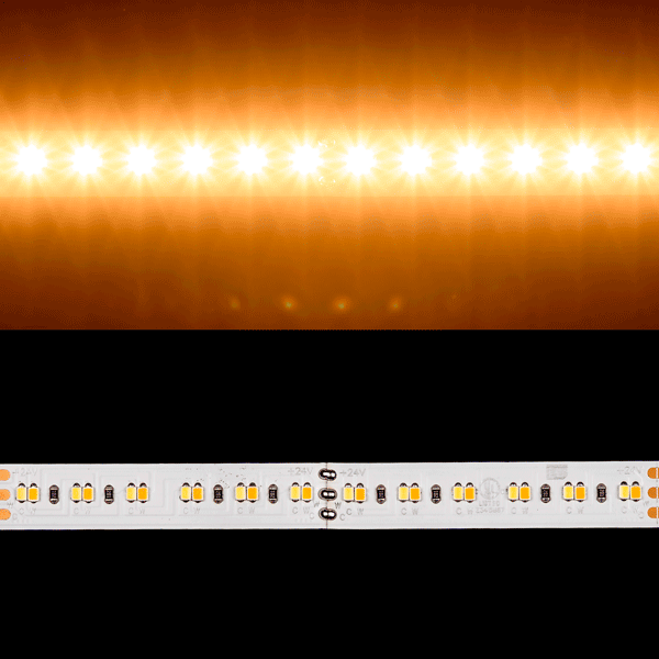TW2465-2216-240-24V-5m-GP - 24V TruColor 2216 Tunable White 5m VN