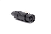 Enova NXT4FA - NXT SWISS XLR Female 4-Pin Gold Pins Pure Core Finish
