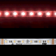 RGB30K-5050-60-24V-5m - Eluxtra RGB+3000K 60/m 24V 5m