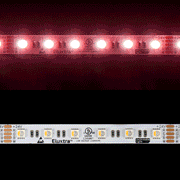 RGB40K-5050-60-24V-5m-GP - Eluxtra RGB+4000K 60/m 24V 5m VN