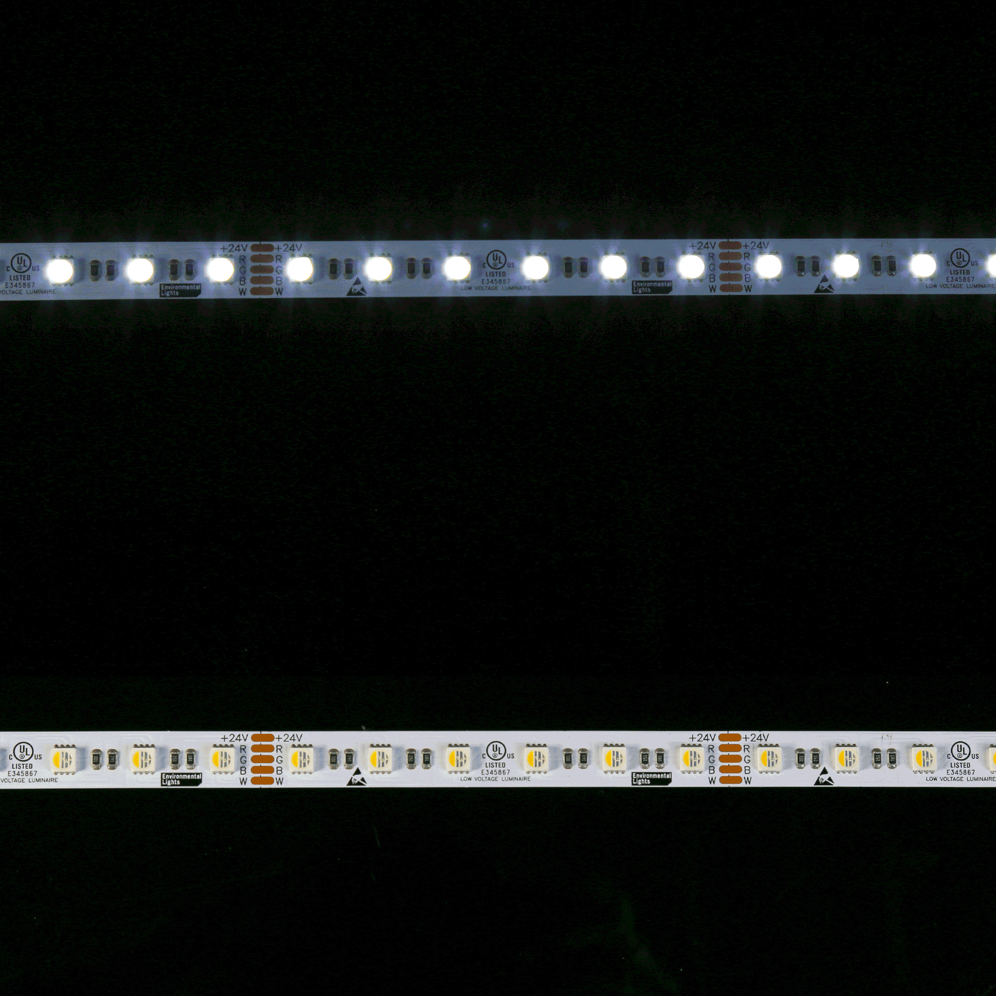 RGB65K-5050-60-24V-5m-GP - Eluxtra RGB+6500K 60/m 24V 5m VN