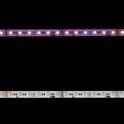 RGBA-5050-60-24V-5m - Eluxtra RGB+Amber 60/m 24V 5m
