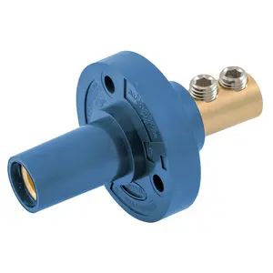 HBL15FRBL - Hubbell Single Pole Series 15 Receptacle, Double Set Screw, Blue
