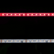 wp-RGB2465K-5050-60-24V-5m-GP - Eluxtra 5-in-1 WP RGB+2400K/6500K 24V 5m