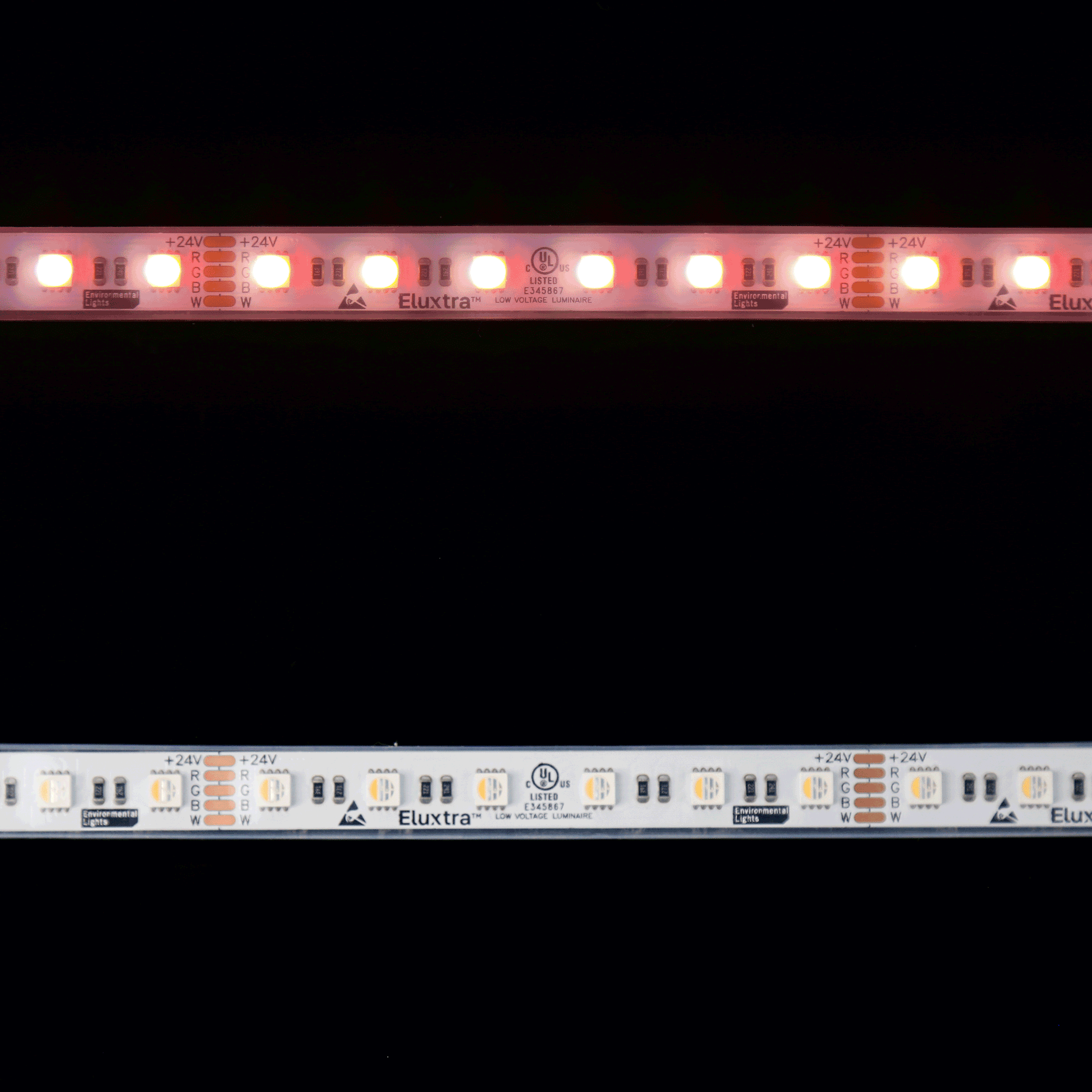 wp-RGB40K-5050-60-24V-5m - Eluxtra WP RGB+4000K 24V 5m